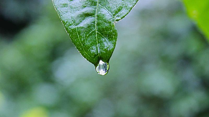 女性向silk丝语专栏第二章：真丝面料垂坠质感与自然光泽特写